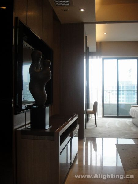 Deep tone interior decoration picture