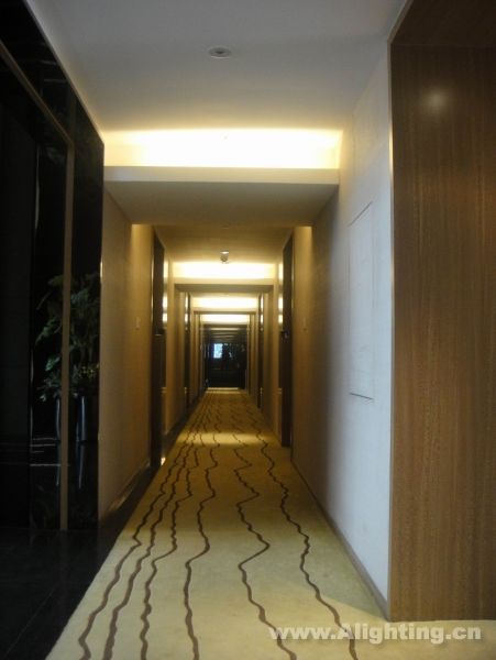 Deep tone interior decoration picture