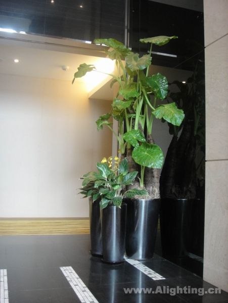 Deep tone interior decoration picture
