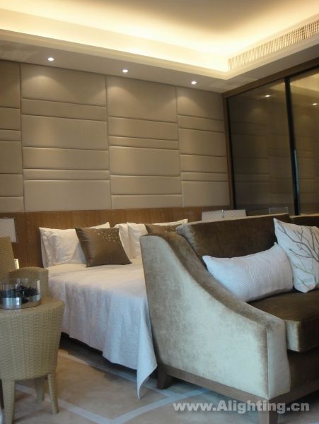 Deep tone interior decoration picture