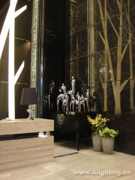 Deep tone interior decoration picture