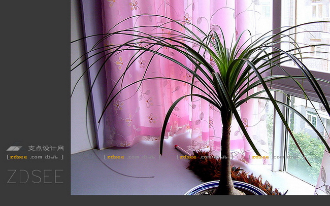 Picture decoration