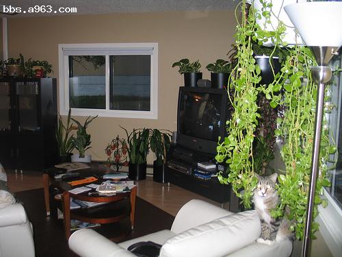 Interior design