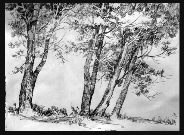 Hand-painted landscape architecture