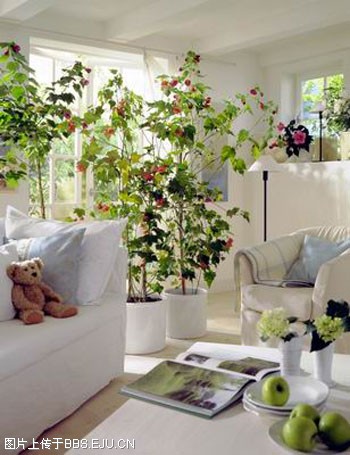 Interior design