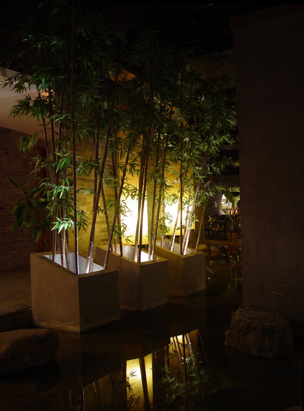 Indoor and outdoor works