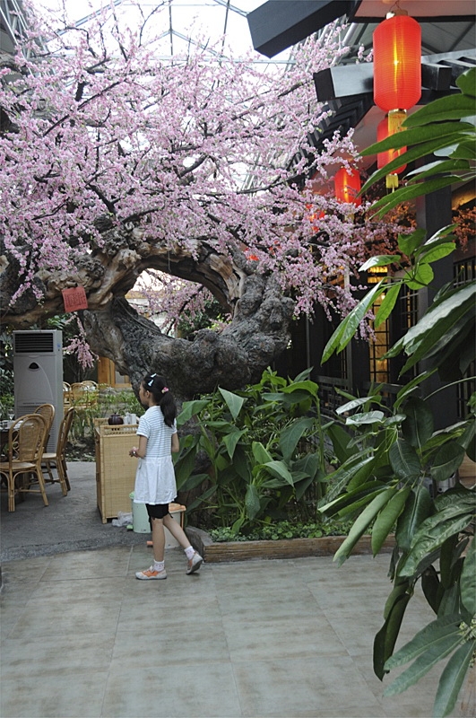 Indoor and outdoor works
