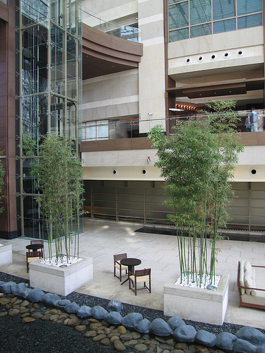 Indoor and outdoor works