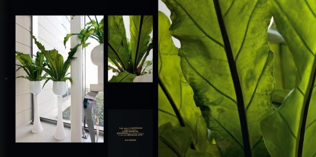 Indoor and outdoor works