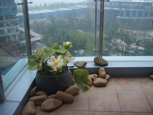 Indoor and outdoor works