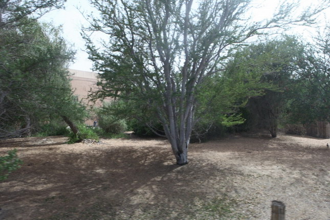 Indoor and outdoor works