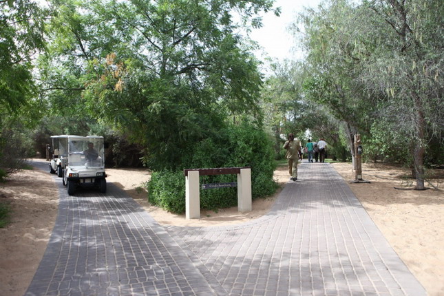 Indoor and outdoor works