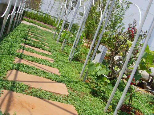 Indoor and outdoor works