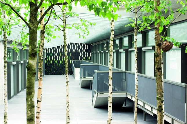 Indoor and outdoor works