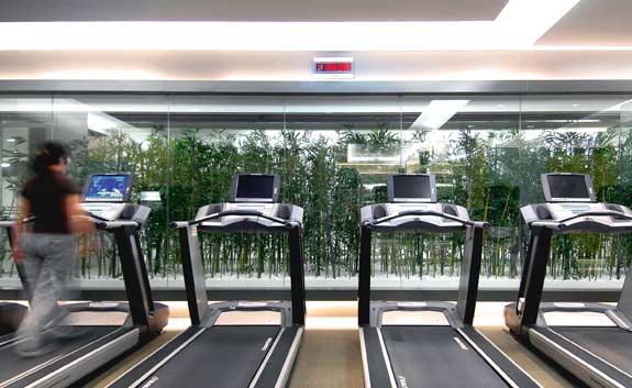 Indoor and outdoor works
