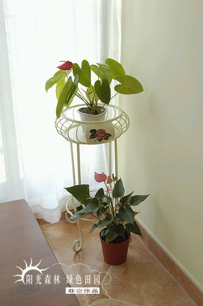 Indoor and outdoor works