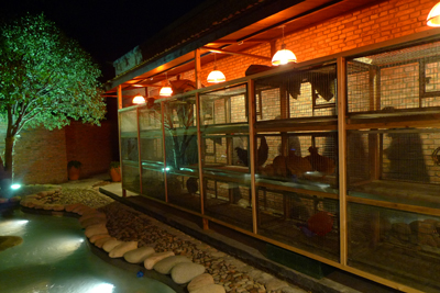 Indoor and outdoor works