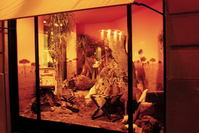 Large stores of Paris and the window display