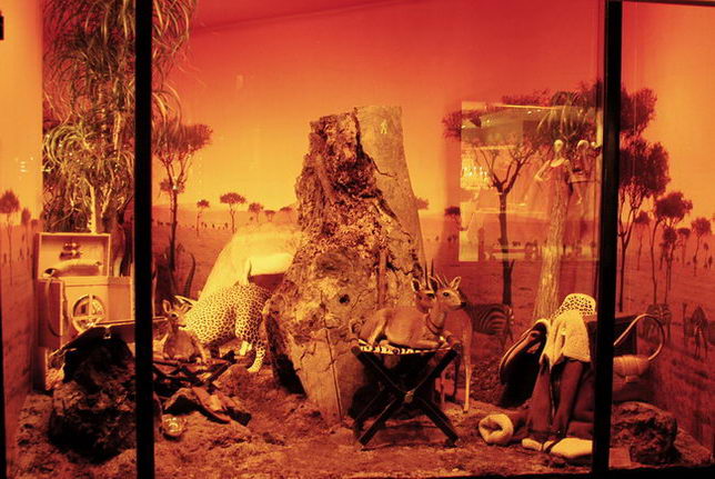 Large stores of Paris and the window display