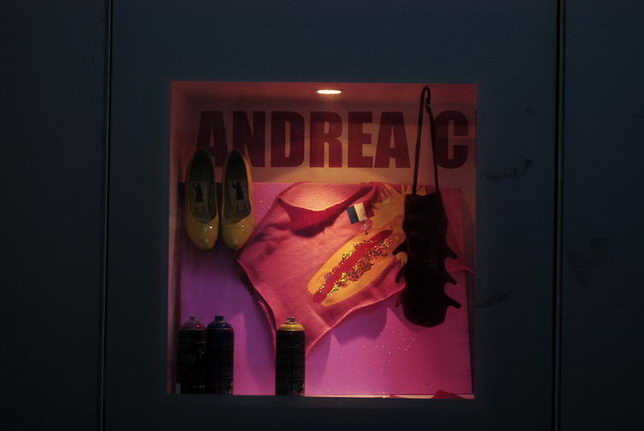 Large shop window displays and Paris