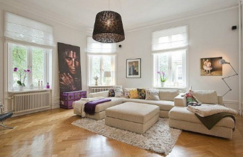 Distinctive color living room design