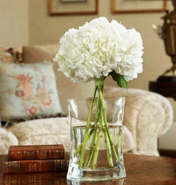 Greenville Manor Interior Design