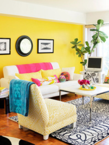 Modern young colored angry living room