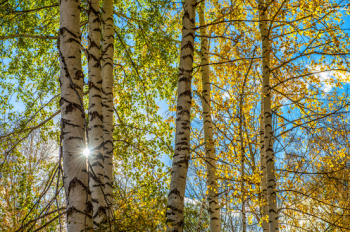 Best nature pictures of 2012 