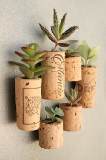 Simple potted plant