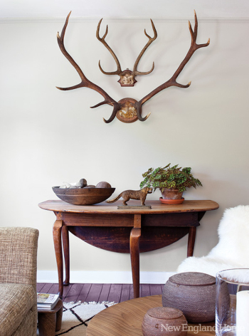 Modern interior corner of the den