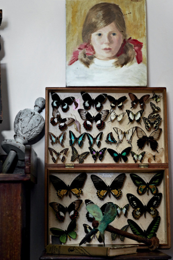 Indoor art decorations