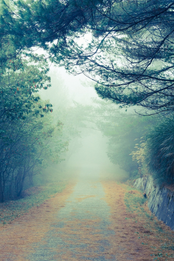 The aesthetic of the road under the sun