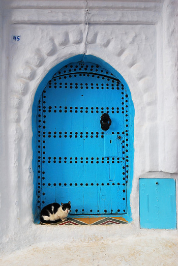 Colored house door