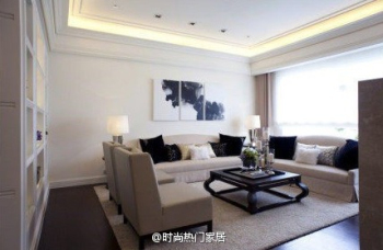Modern black and white color living room