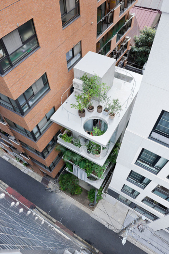 Roof garden