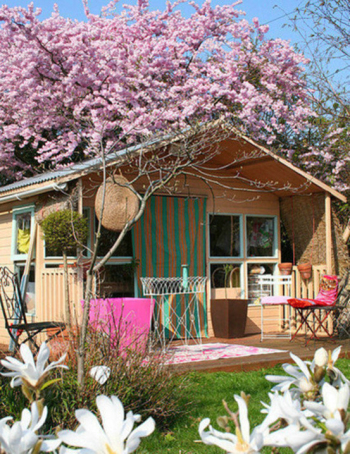 Home Garden Design