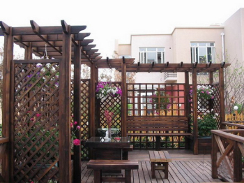 Home & Garden