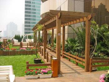 Home & Garden