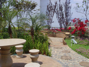 My roof garden work