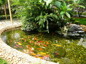 Landscape - garden and articles