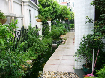 Landscape - garden and articles