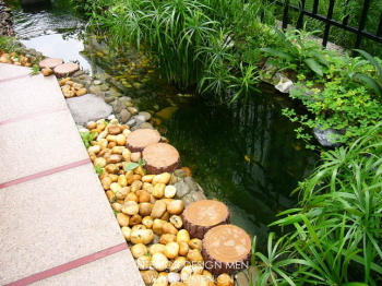 Landscape - garden and articles