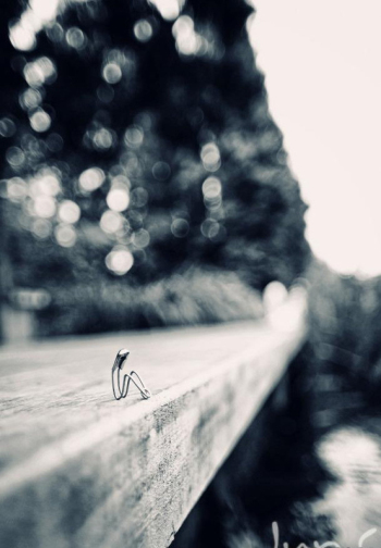A clip of life