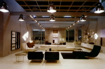 Comfortable, modern home design