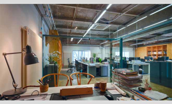 Evolutionary & Rainbow stone office space